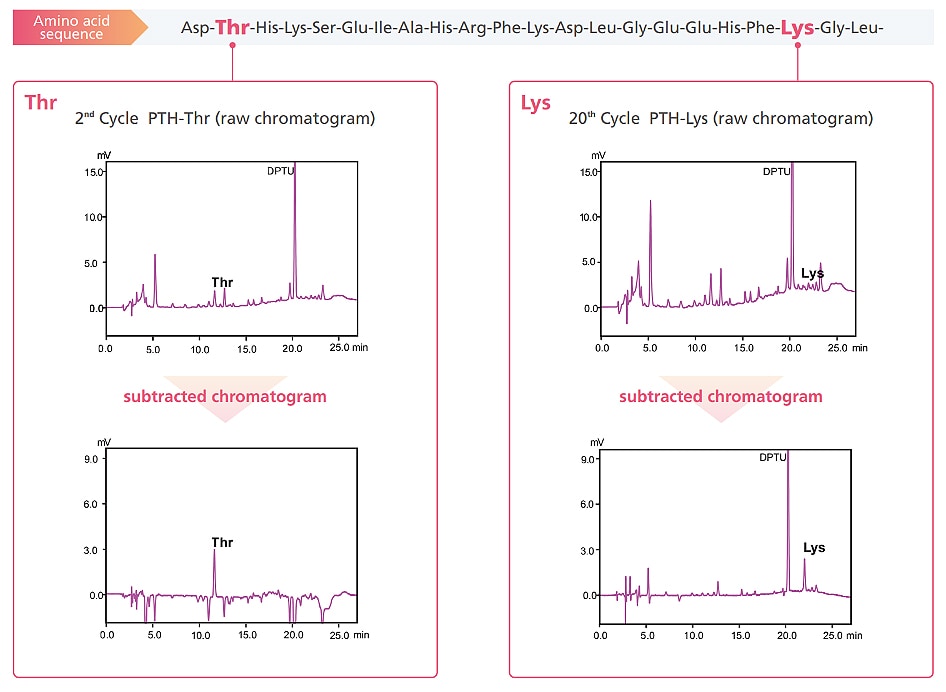 Example of Analyzing Bovine Serum Albumin
