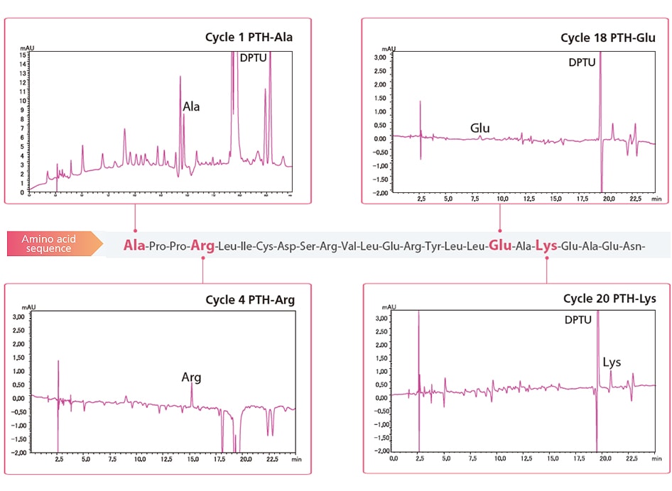 Erythropoietin Analysis