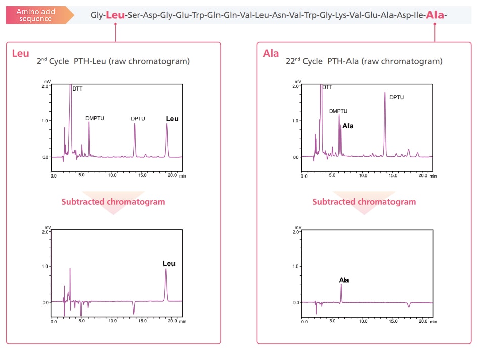 Amino acid sequences