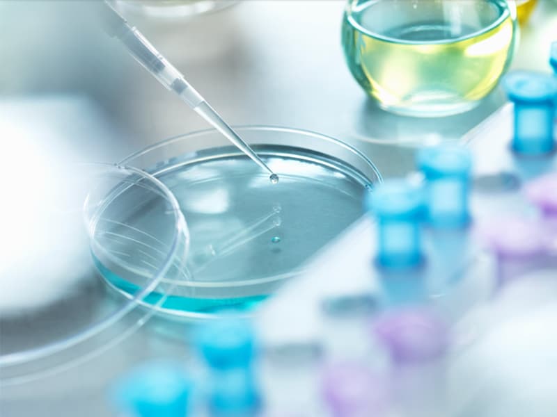 Optimized Analytical Conditions