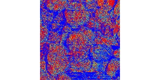 Viscoelastic Measurements of Positive Electrode Sheets Fabricated by Dry Process
