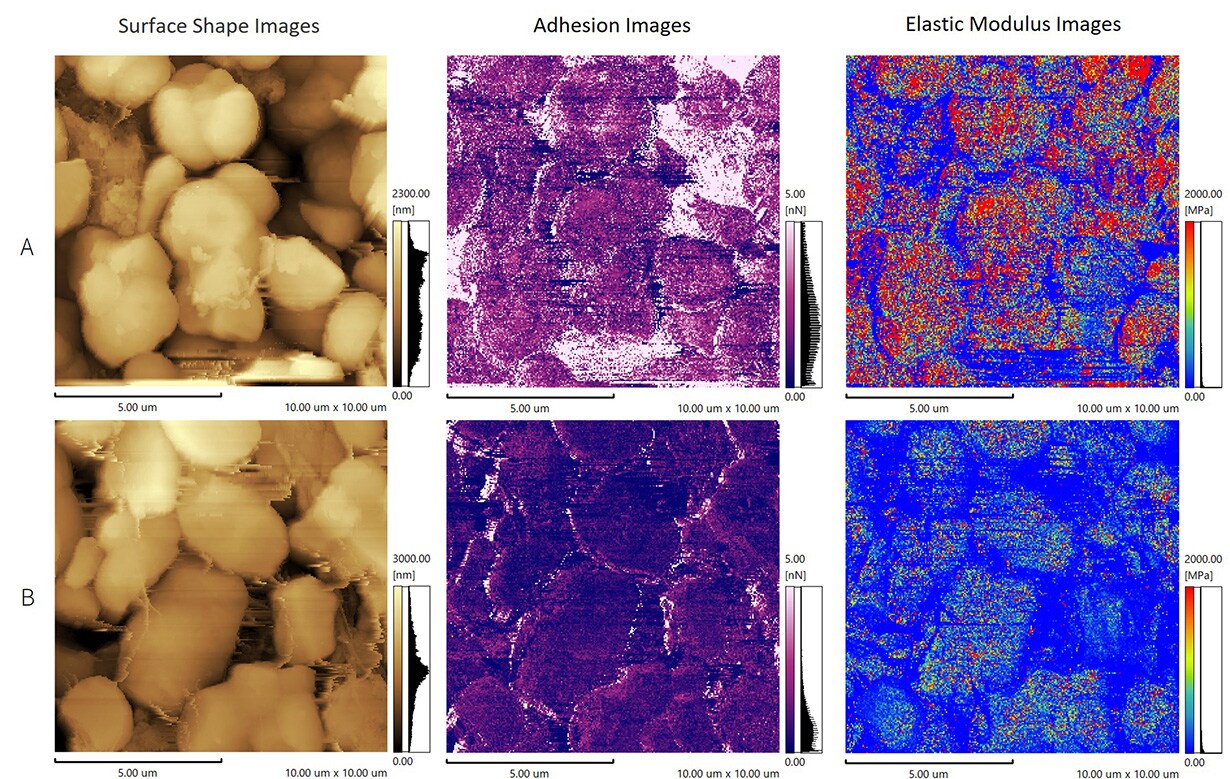 positive electrode sheets