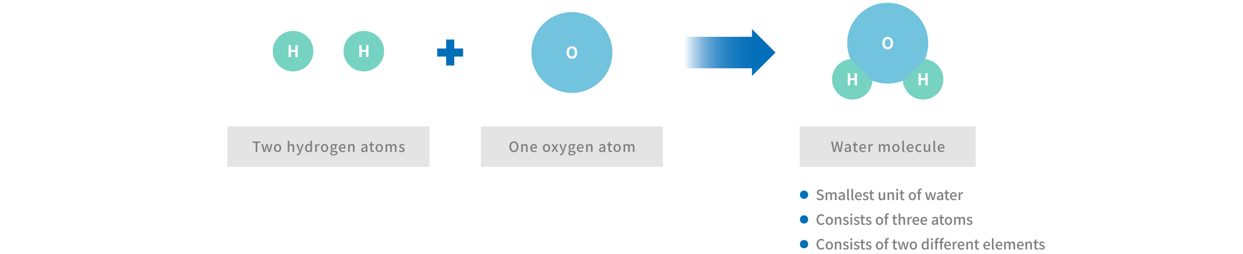 What is a Molecule?