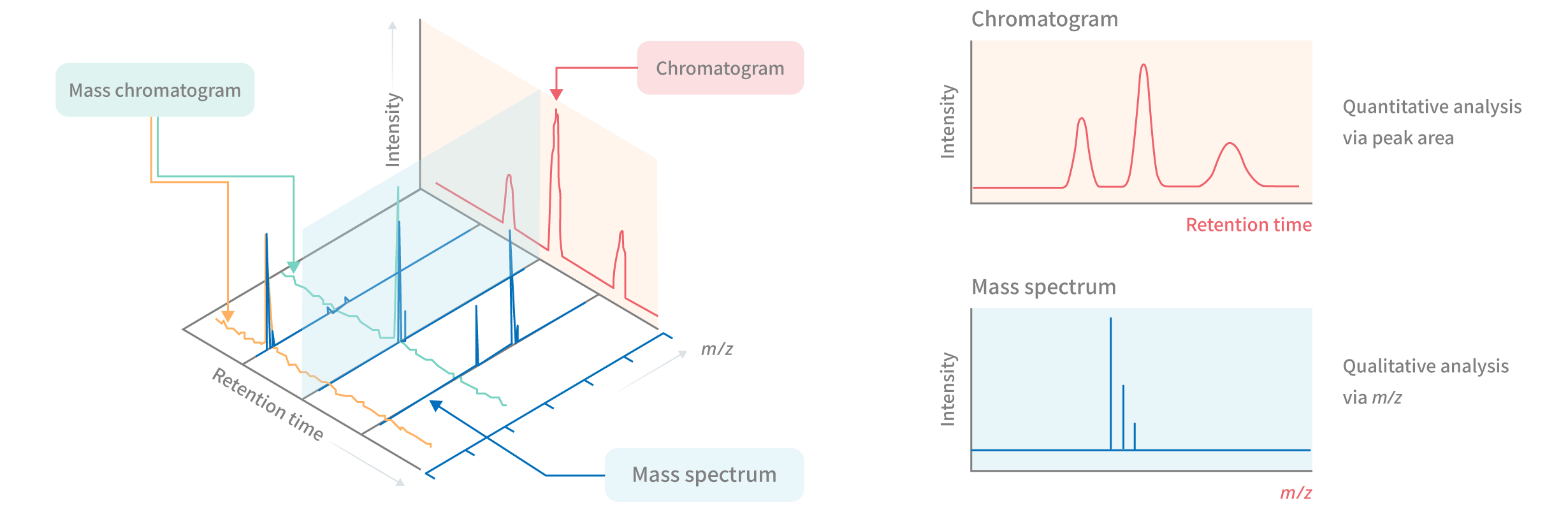 Chromatogram, Mass spectrum