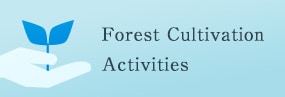 Forest Cultivation Activities
