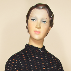 vol.8 Life is also science: “Human anatomical models/specimens”