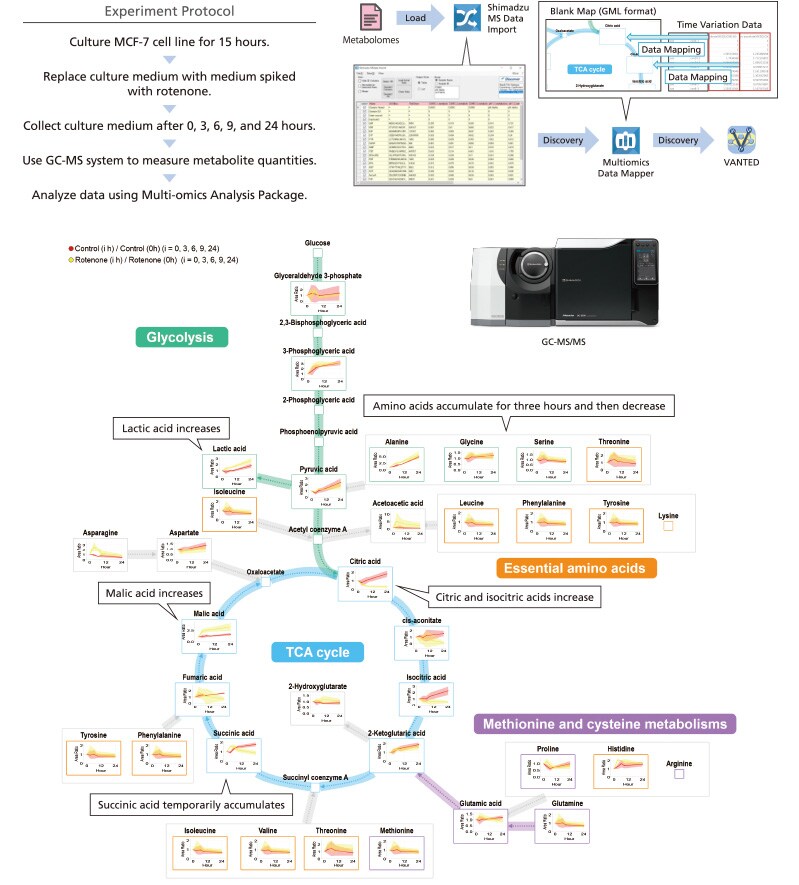 Visualization of metabolite fluctuations in a cell culture medium on a metabolic map
