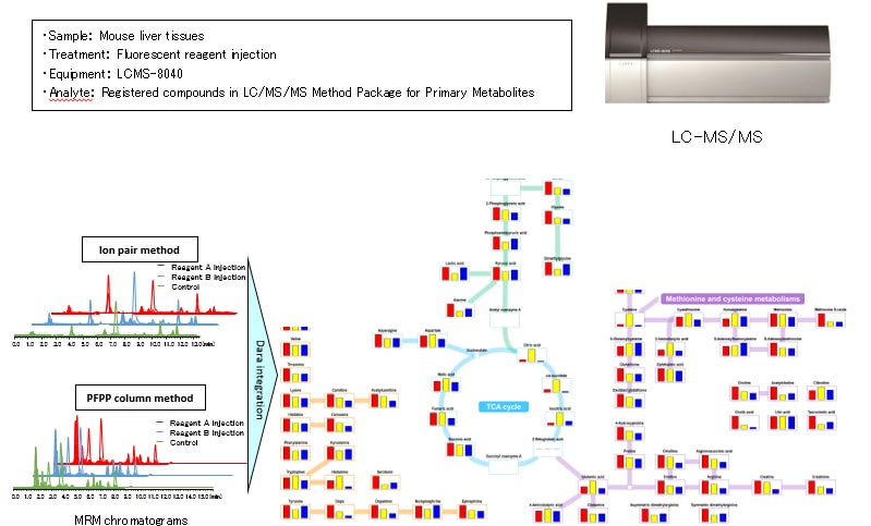 Comparison of primary metabolite levels in mouse liver tissues on a metabolic map