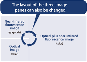 Simultaneous Three-Image Display Provides Clear Understanding at a Glance