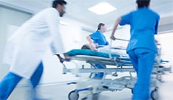 Click to enlarge the image.