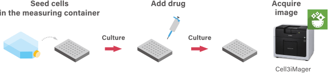 Seed cells in the measuring container→Add drug→Acquire image (Cell3iMager)