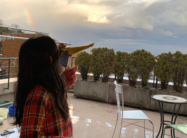 Children Observing Light