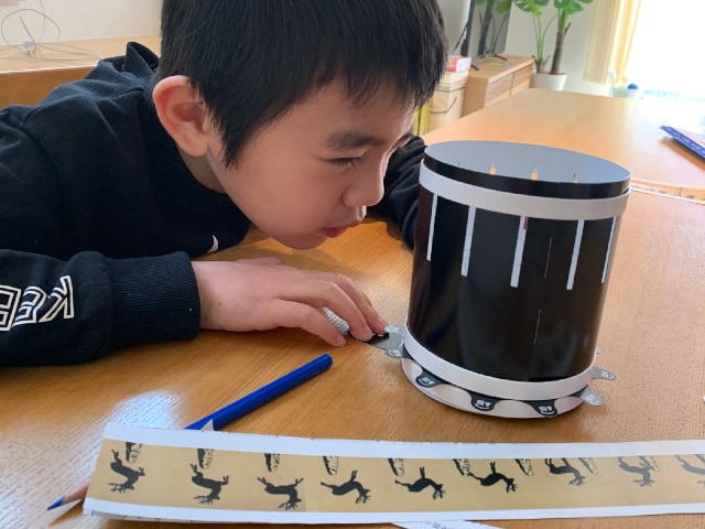 A Boy looking at the Zoetrope