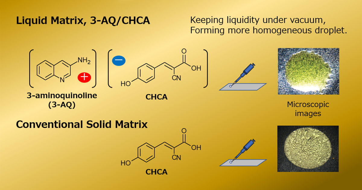 Liquid Matrix for N-Glycan Analysis by MALDI-MS : SHIMADZU CORPORATION