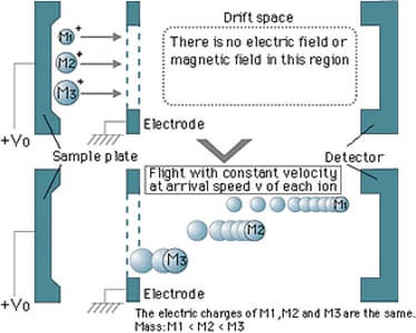 What is TOF/MS?