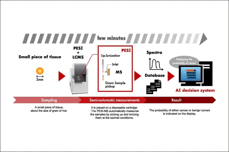 PESI-MS with artificial intelligence (AI) *Research Use Only. Not for use in diagnostic procedure.