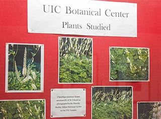 Botanical supplements case study: The menopause