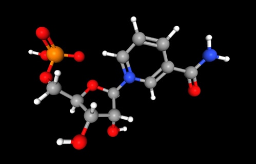 The molecular structure of the naturally occurring NMN metabolite. PubChem Identifier: CID 14180