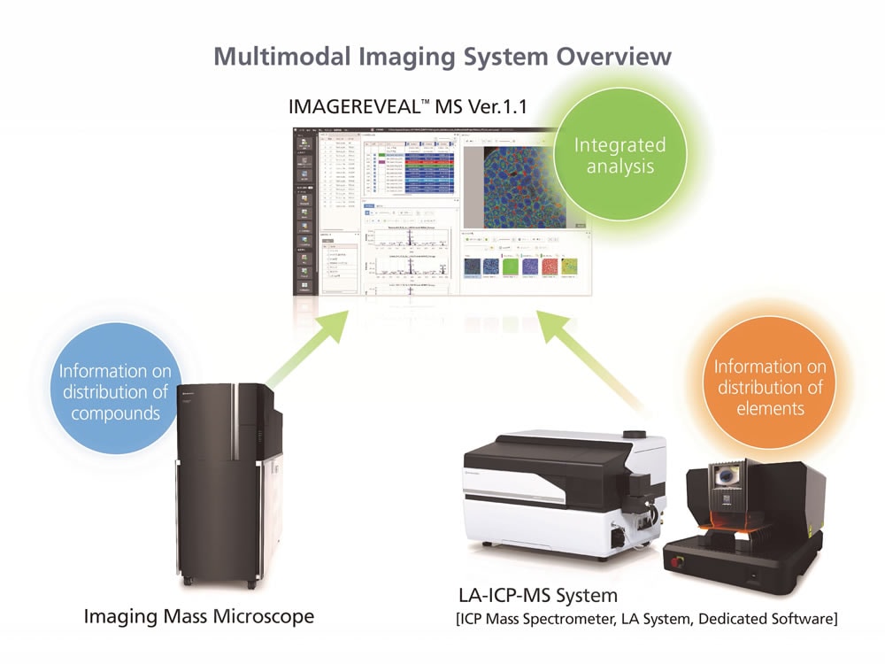 Multimodal Imaging System