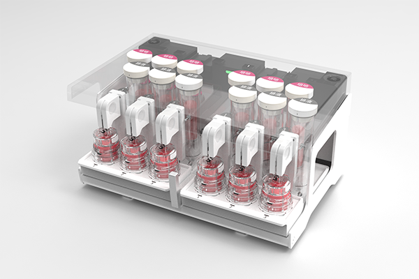 Fotografía: Dispositivo de cocultivo de bacterias intestinales