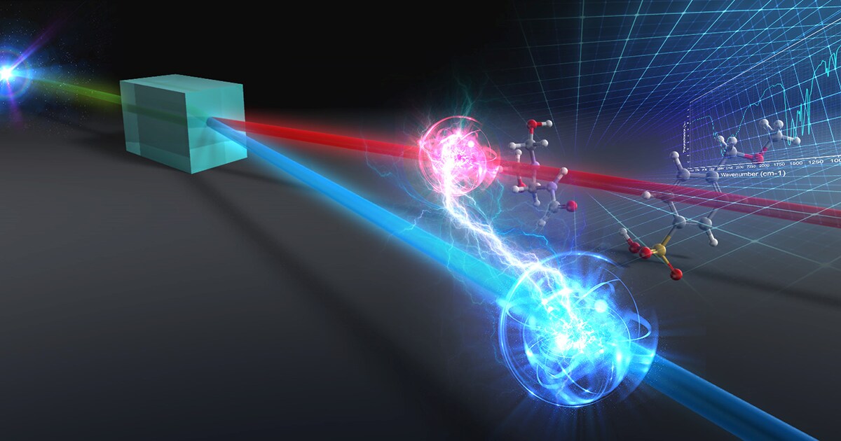 SHIMADZU CORPORATION : Collaboration on the “Entangle Moment