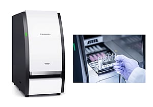 Autoamp, a genetic analyzer that fully automates PCR testing