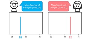 Column "What is Mass Spectrometry?"