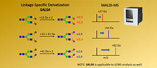Glycan Analysis by MALDI-MS in Negative Ion Mode