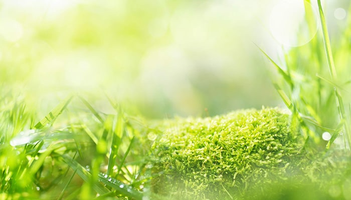 Science-driven Environmental Preservation for a Sustainable Society