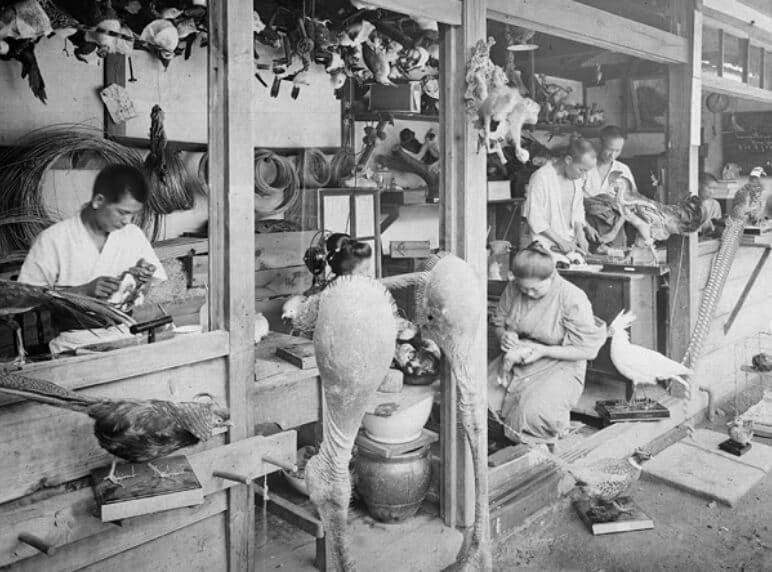 Manufacturing specimens