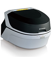 EDX: Energy Dispersive X-RayFluorescence Spectrometer