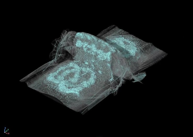 Visualización de materiales internos absorbentes de agua mediante procesamiento de imágenes