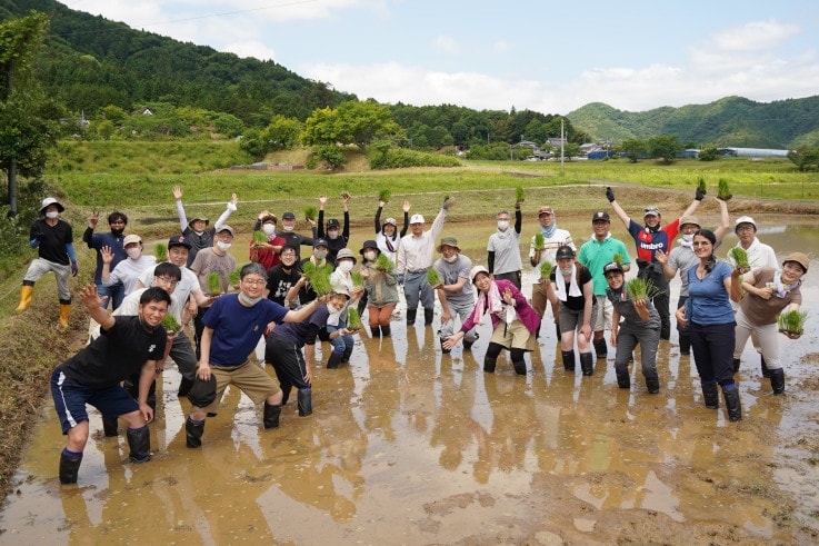 Proyecto de elaboración de sake japonés original de Shimadzu, taller sobre plantación de arroz