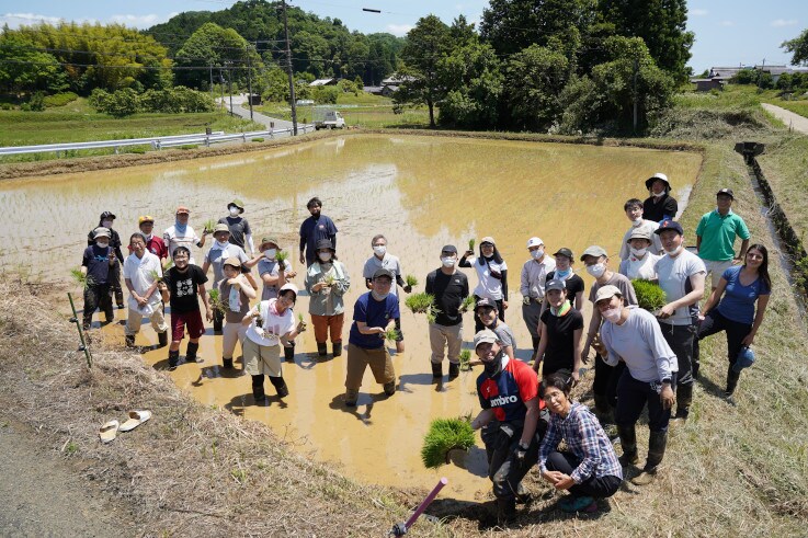 岛津原创日本清酒酿造项目，水稻种植车间合影