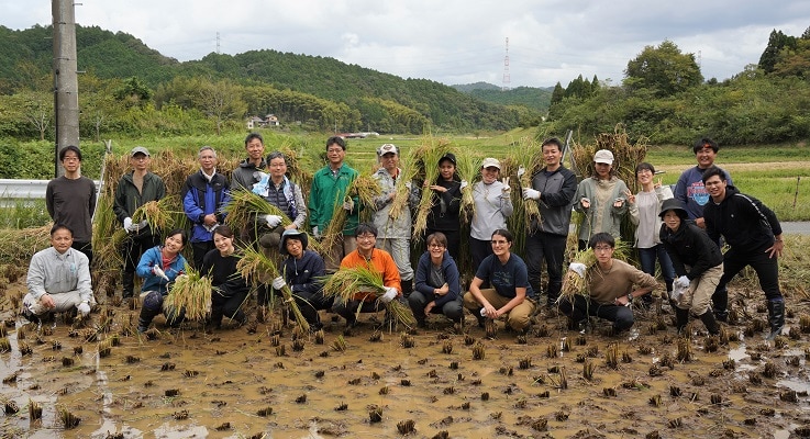Employees Experience Rice Harvesting　– Original Japanese Sake Brewing Project