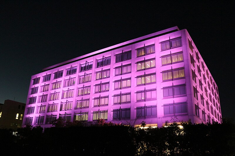 Illuminating the Corporate Office Building with Pink Lights