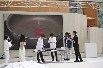 CULTIVATED MEAT JOURNEY 2025