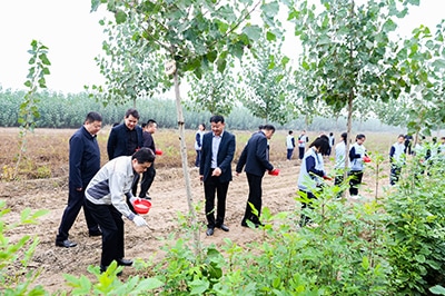 Volunteers working together under the guidance of local forestry staff