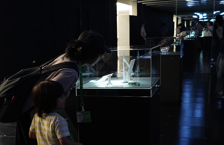 Scenes from the tour