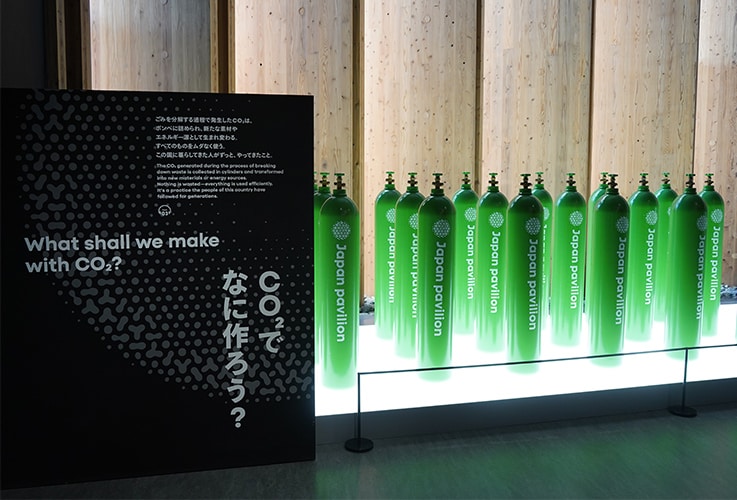 Hydrogen-oxidizing bacteria