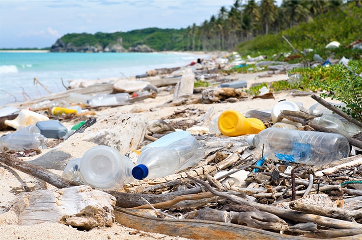 Environmental problems caused by plastics