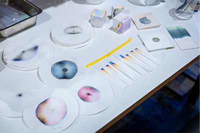 Performing paper chromatography (a technique that separates ink using paper and water), the foundation of separation analysis