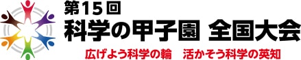 Logo of the 15th National Competition