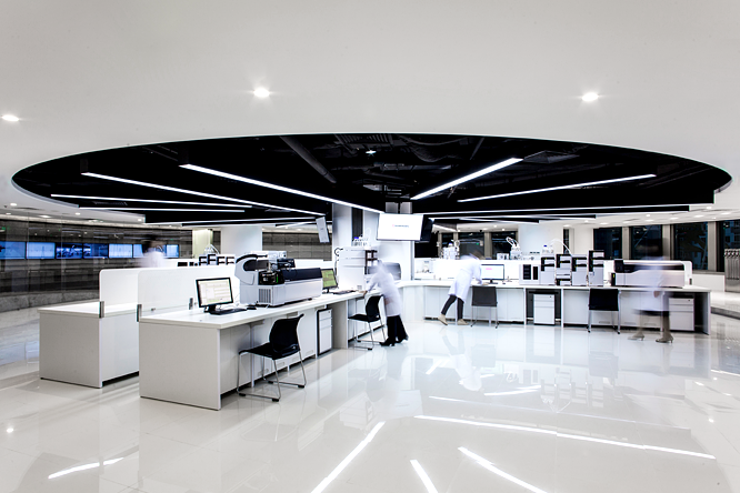 Becoming a Number-One Partner to the World